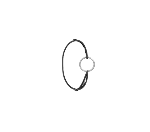 ZILIA Circle Strieborný prsteň