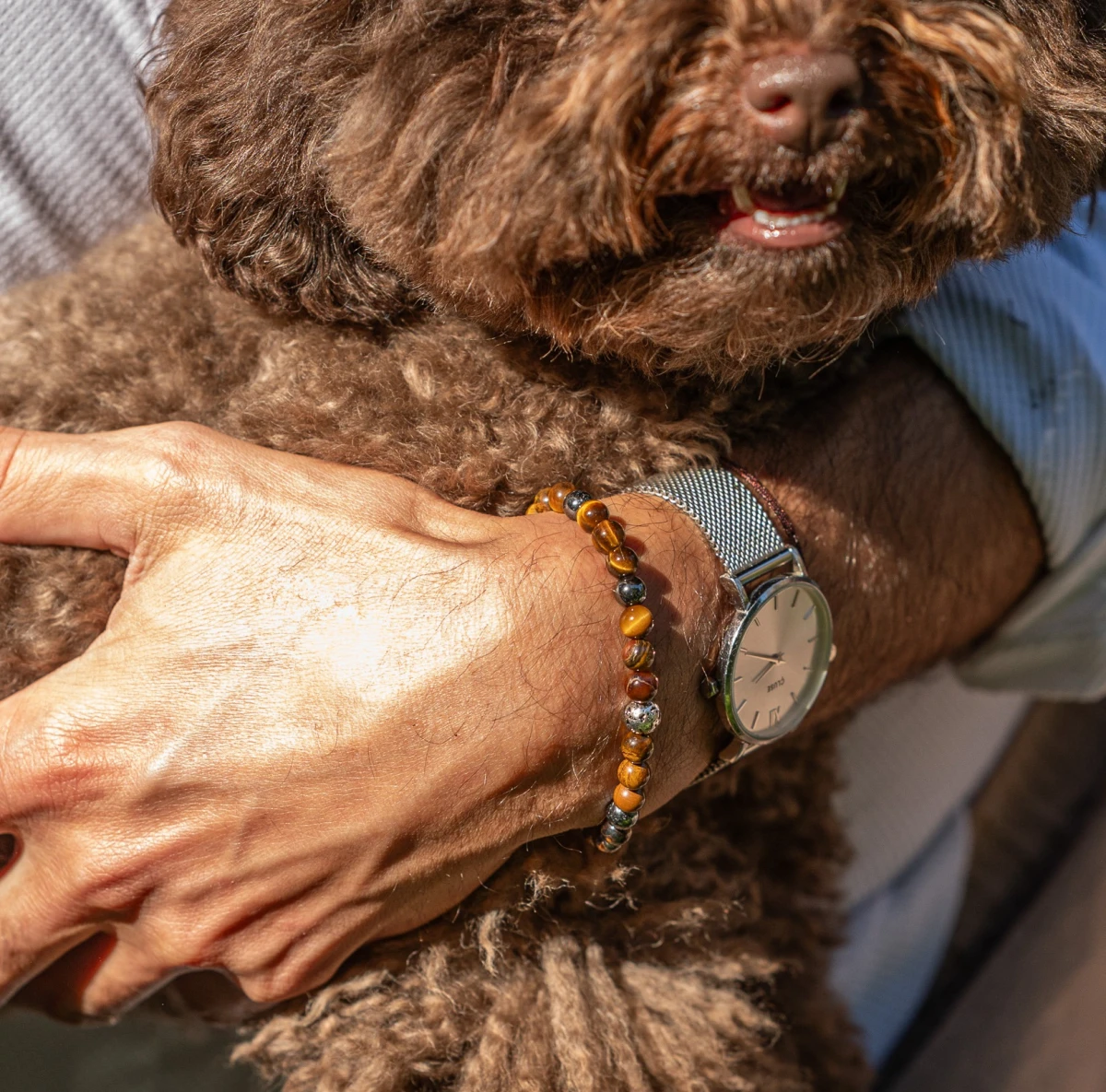 ZILIA Tiger's Eye Men 4 Strieborný náramok